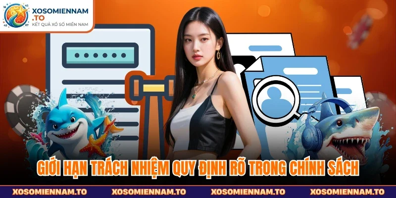 Giới hạn trách nhiệm quy định rõ trong chính sách