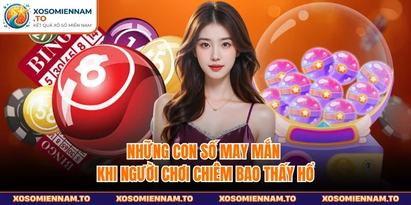 Những con số may mắn khi người chơi chiêm bao thấy hổ
