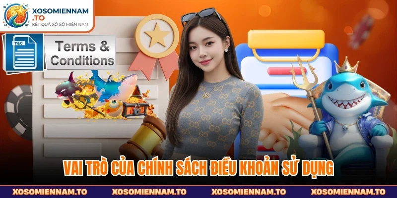 Vai trò của chính sách điều khoản sử dụng
